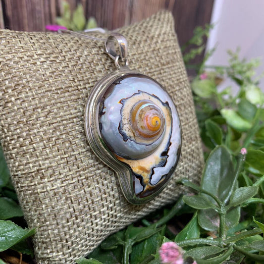 Sterling Nautilus Shell Pendant