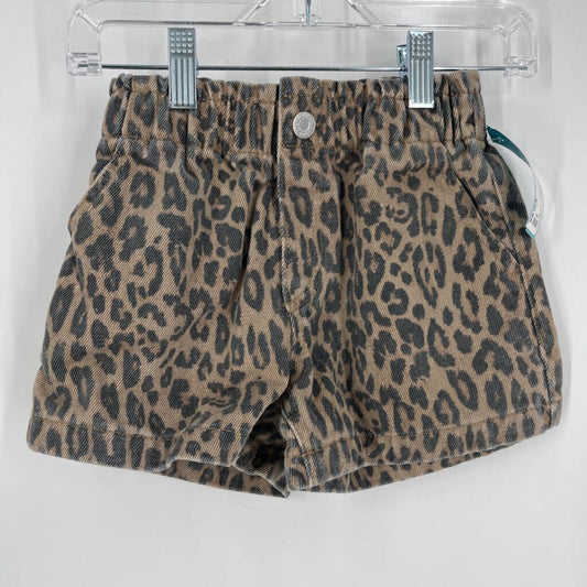 H & M Shorts