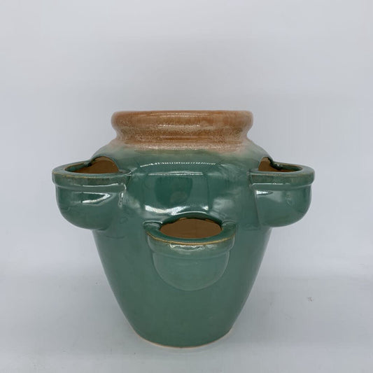 5-Pocket Strawberry Pot