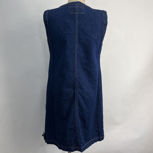 Ann Taylor Slvls Dress