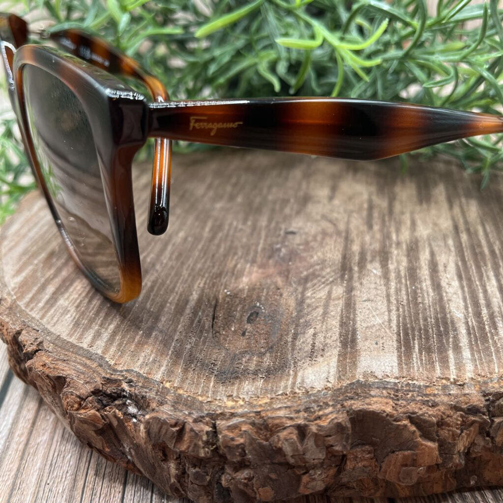 Ferragamo SF1072S Sunglasses