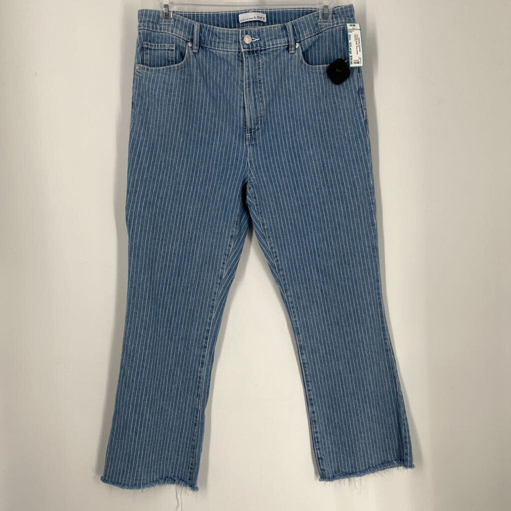 Loft Pin Stripe Jeans