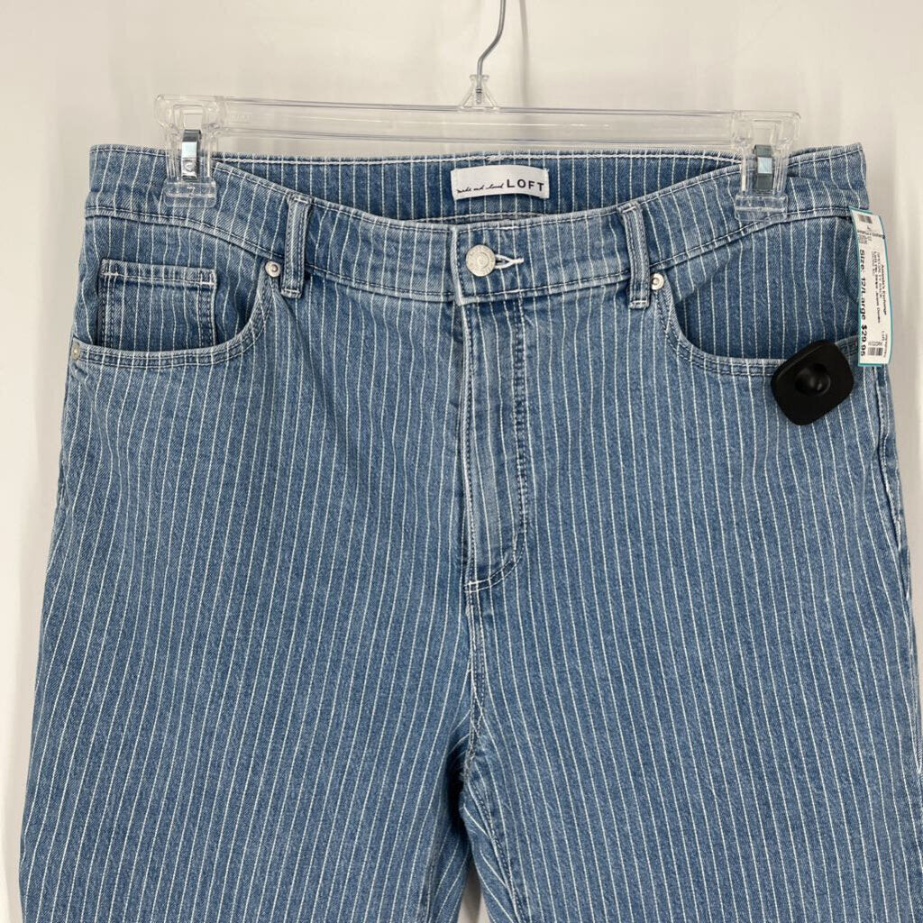 Loft Pin Stripe Jeans