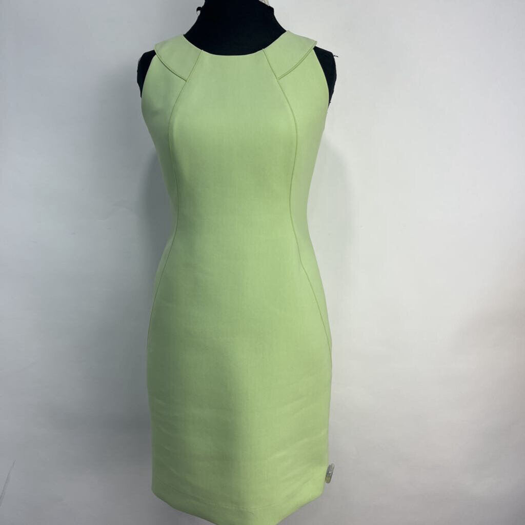 Lafayette 148 Slvls Dress