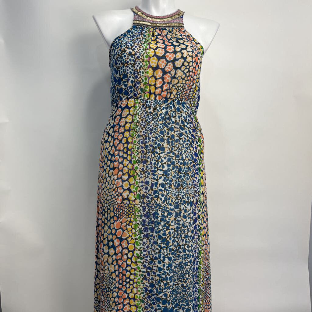 HD in Paris slvls maxi Dress