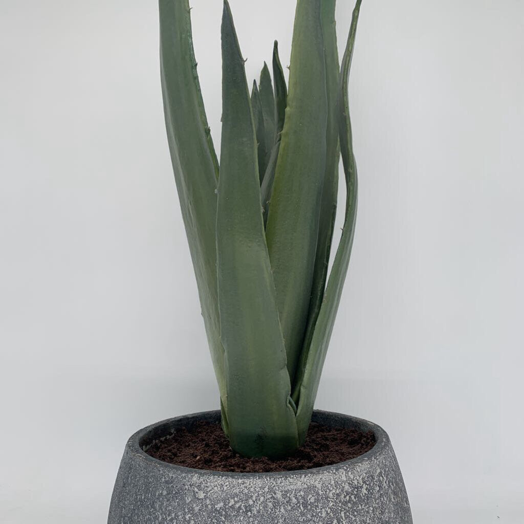 Faux Potted Agave