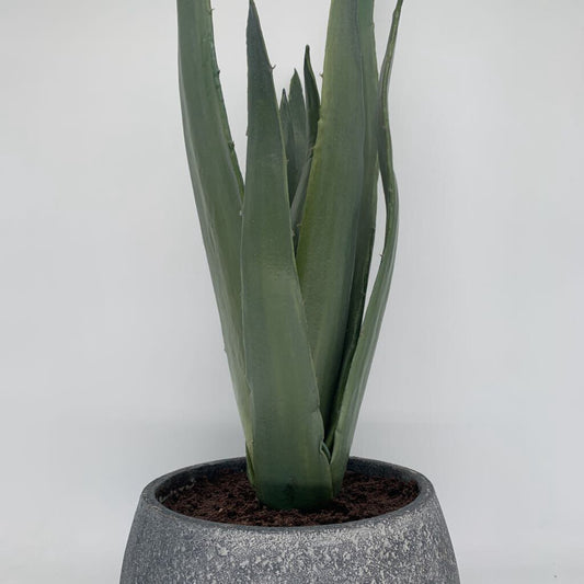 Faux Potted Agave