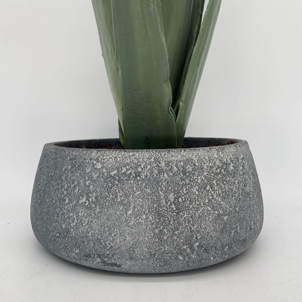 Faux Potted Agave