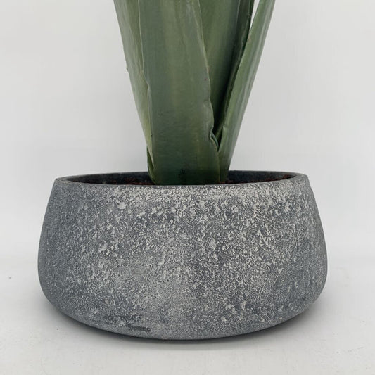 Faux Potted Agave