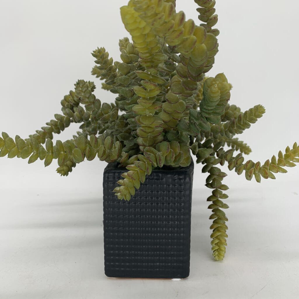 Faux Succulents in Planter