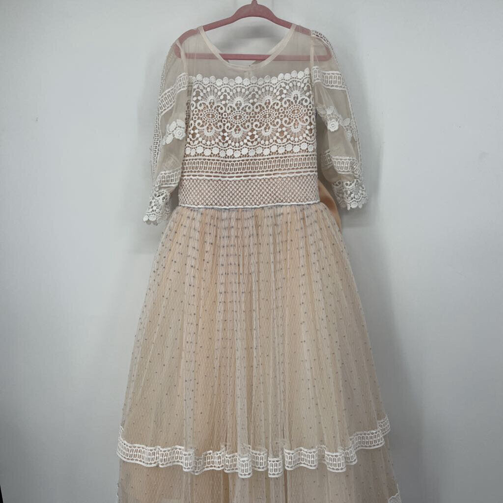 Sheer Crochet Tulle Dress