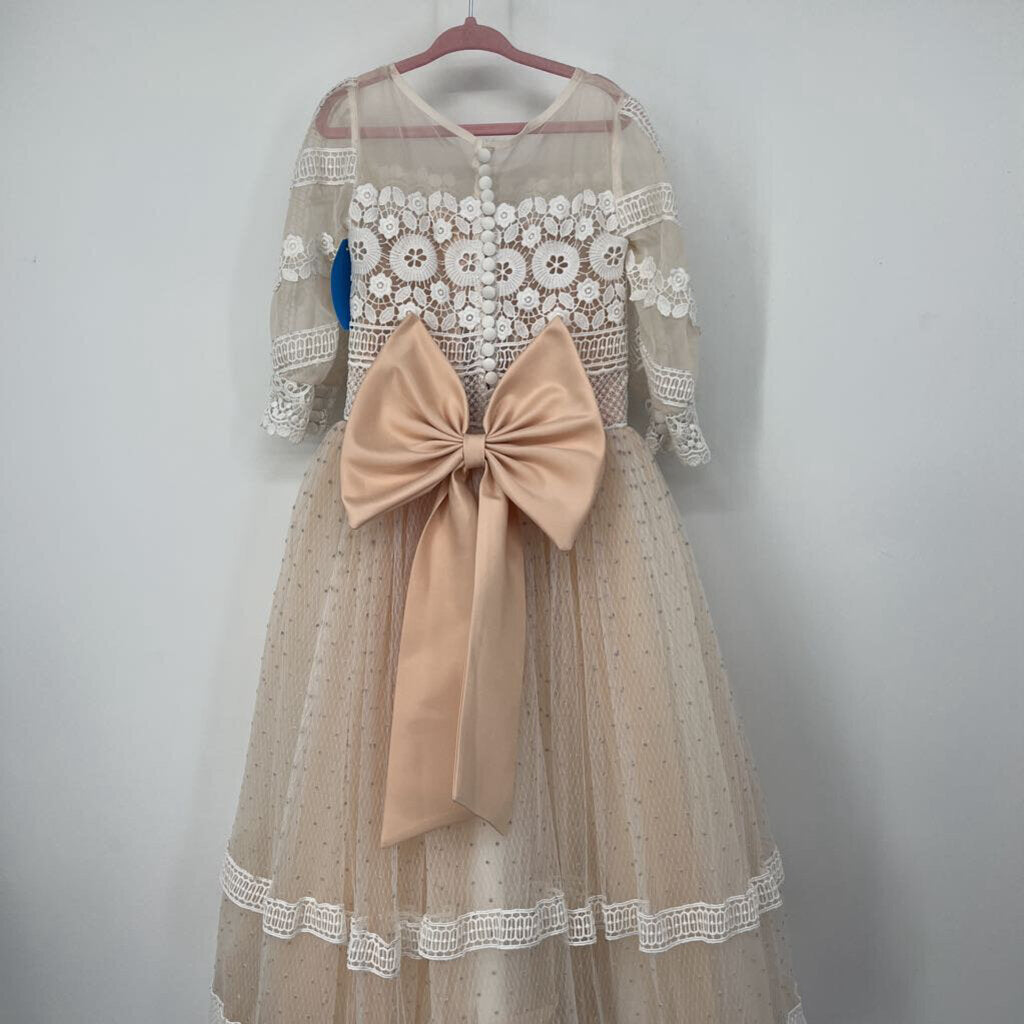 Sheer Crochet Tulle Dress