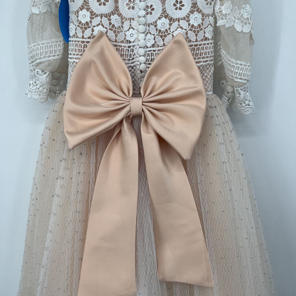 Sheer Crochet Tulle Dress