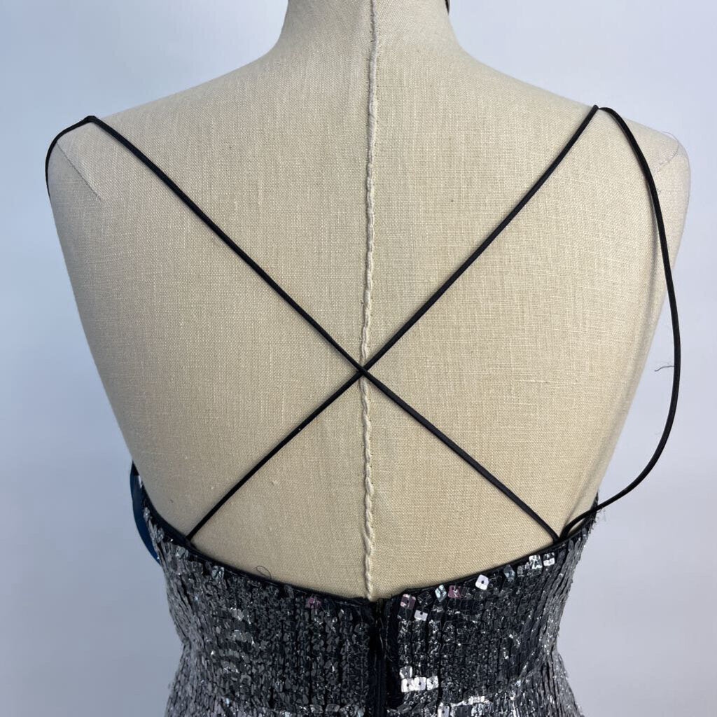 Hayden Slvls Gown
