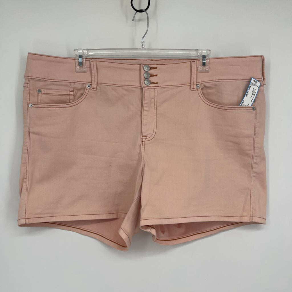 Torrid Shorts