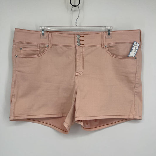 Torrid Shorts