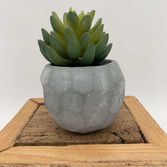 Faux Succulent Concrete Pot