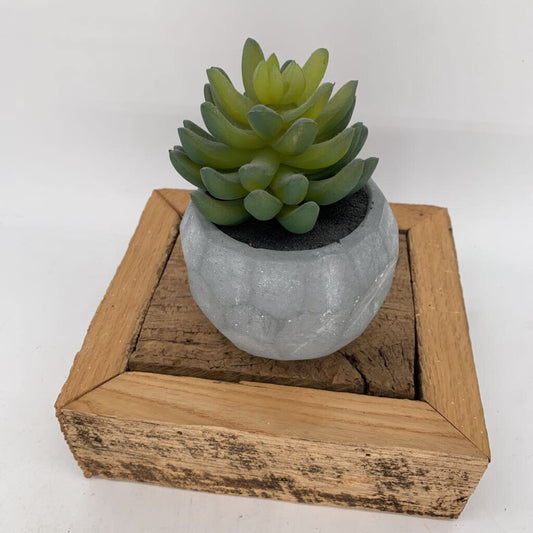 Faux Succulent Concrete Pot
