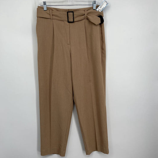 Ann Taylor Pants