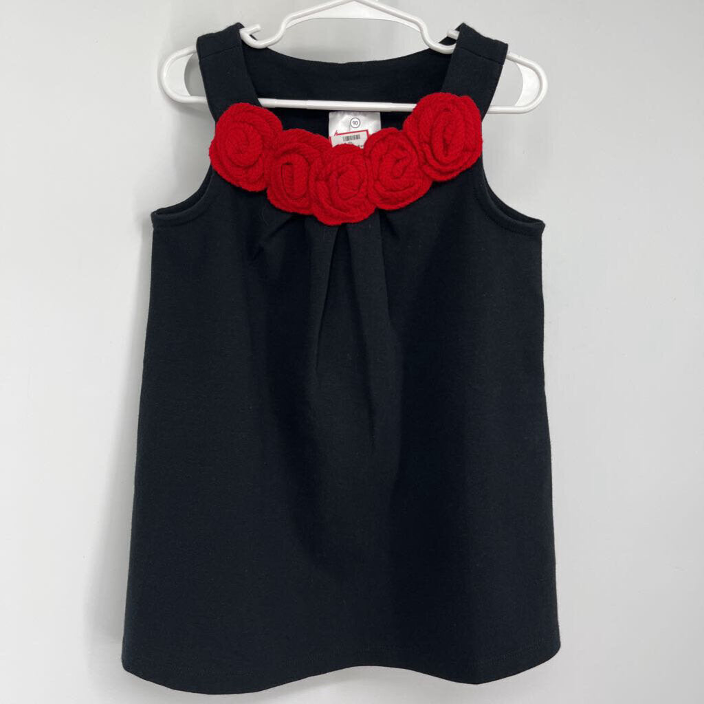 Hanna Andersson slvls Dress