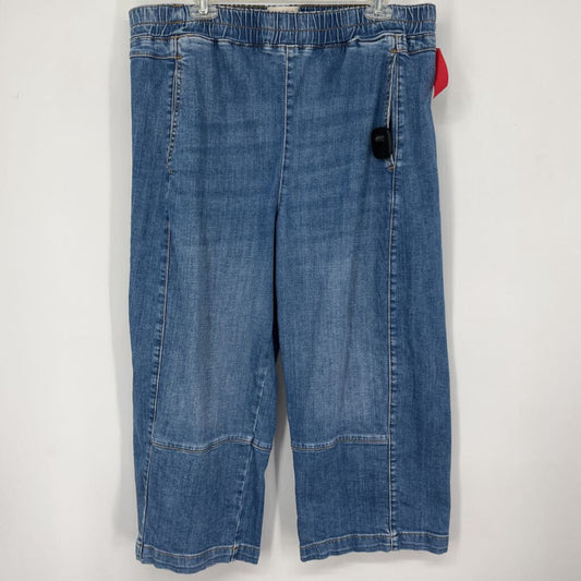 Pilcro Wide Leg Crop Jeans