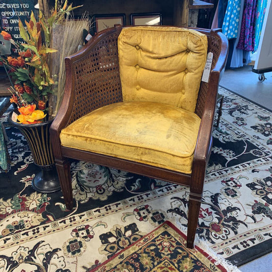 Velour Cane Arm Chair