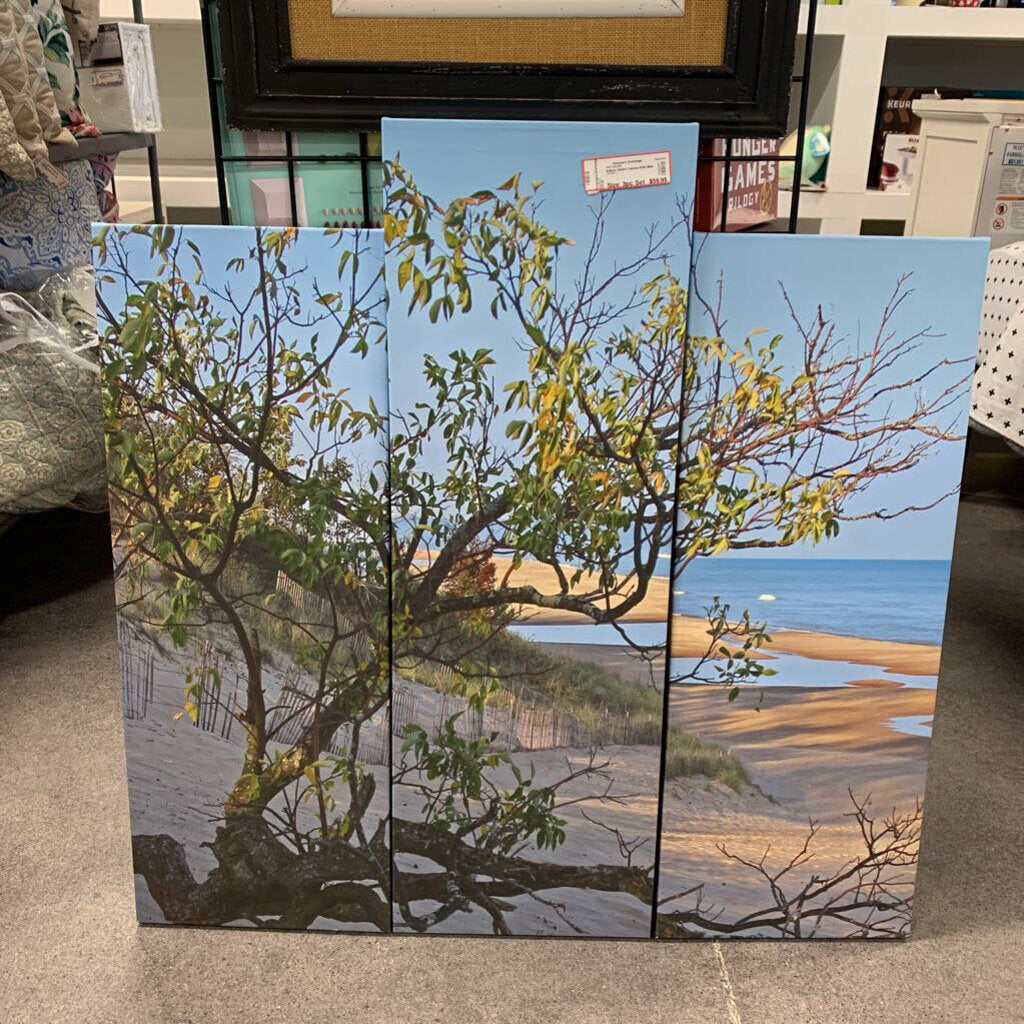 Indiana Dunes Canvas Print
