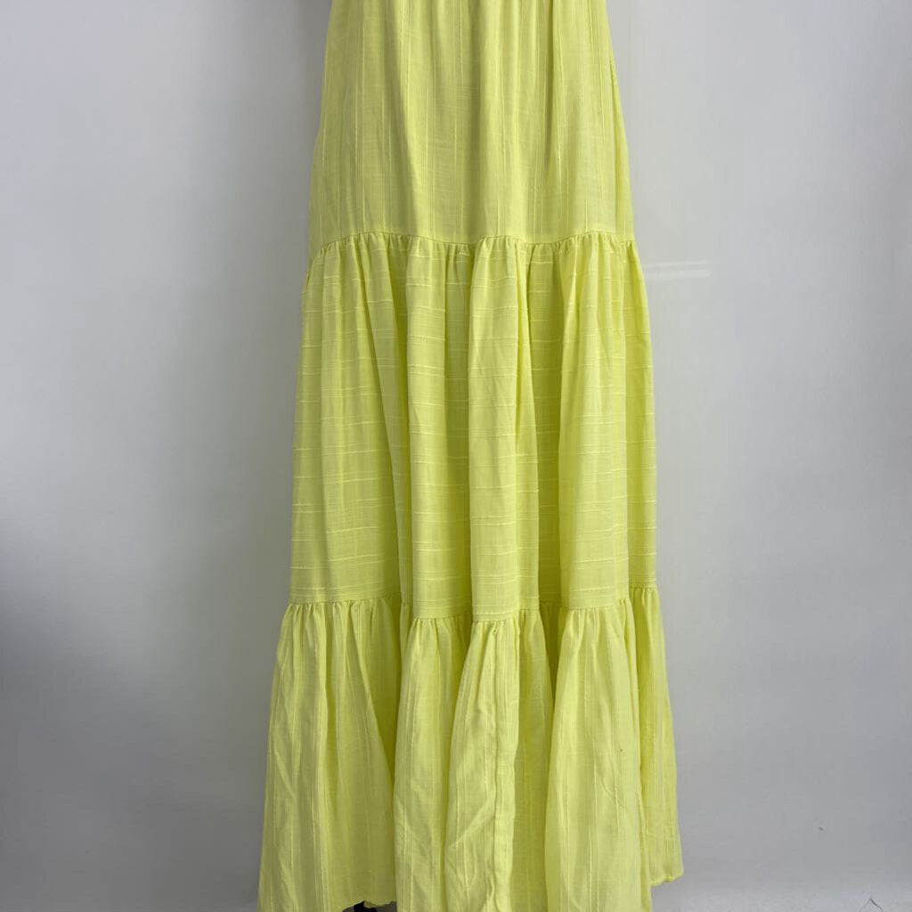 Haute Hippie Slvls Maxi Dress