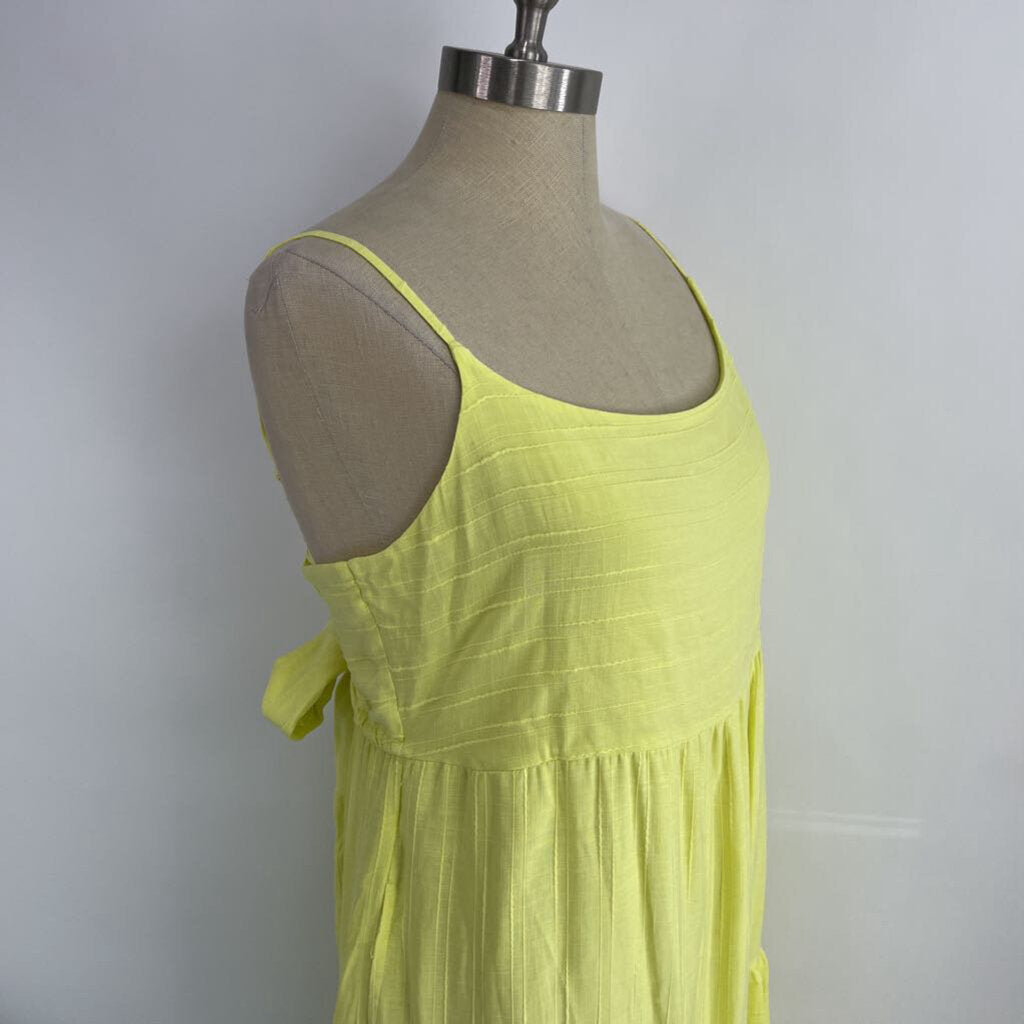 Haute Hippie Slvls Maxi Dress