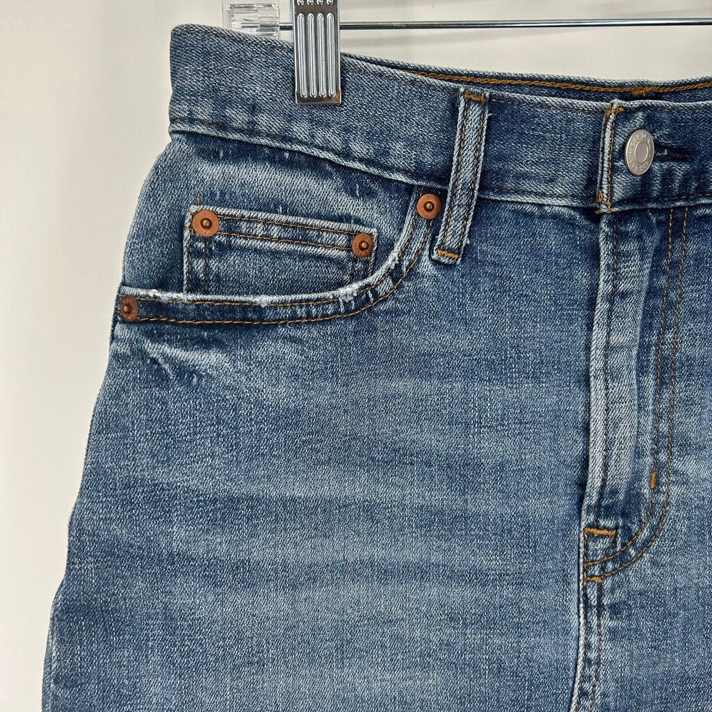 Gap Skirt