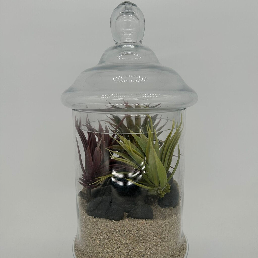 Apothecary Jar Terrarium