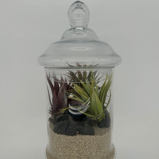 Apothecary Jar Terrarium