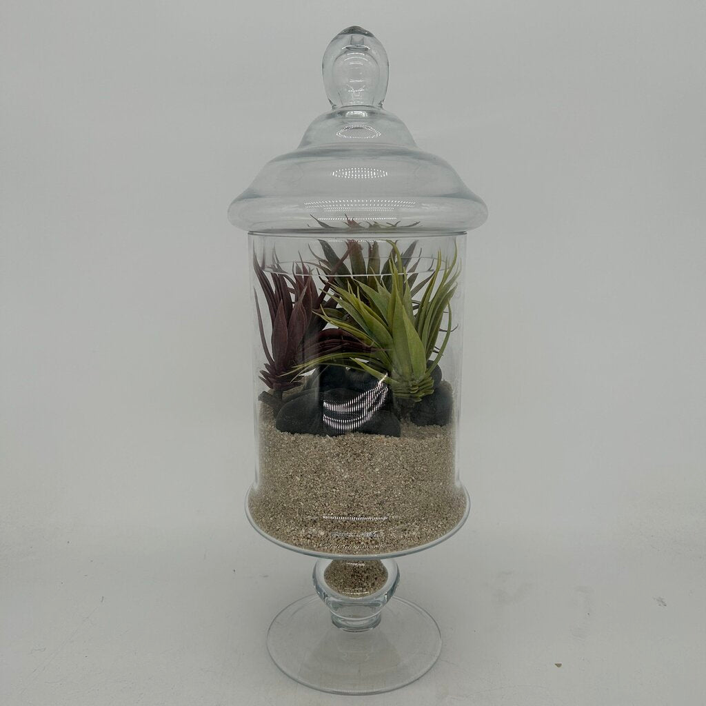 Apothecary Jar Terrarium