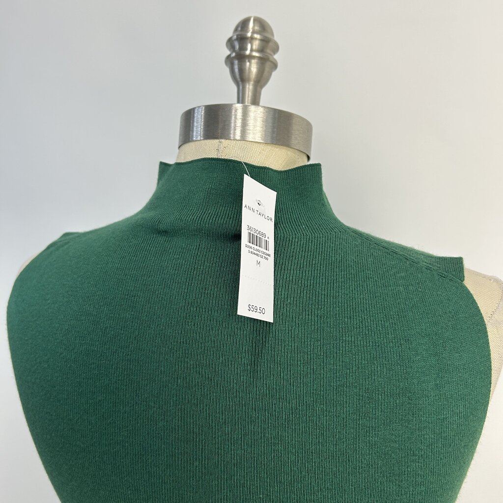 Ann Taylor Slvls Sweater