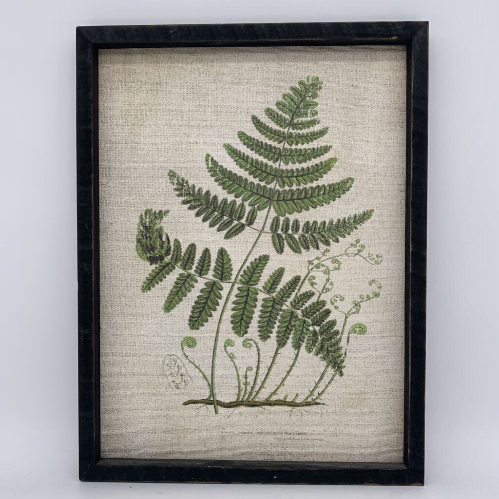 Framed Fern Print