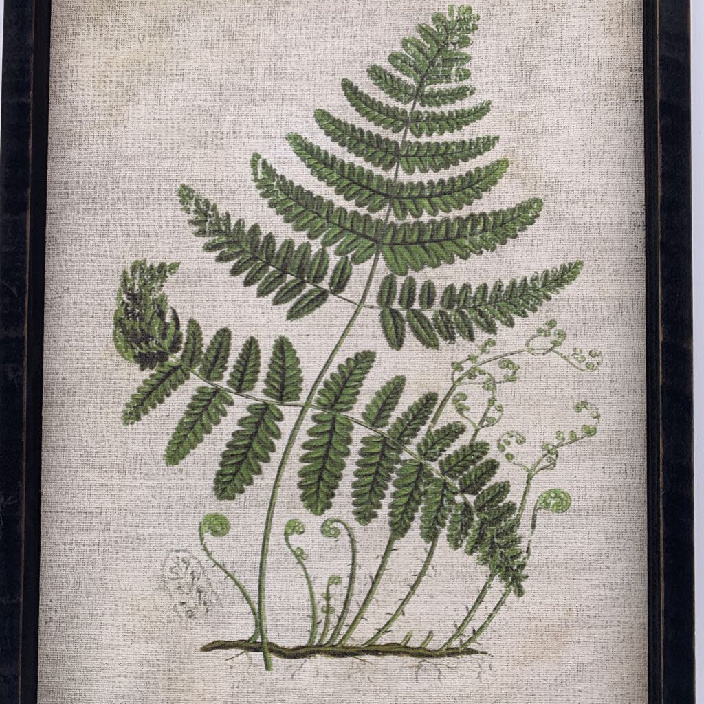 Framed Fern Print