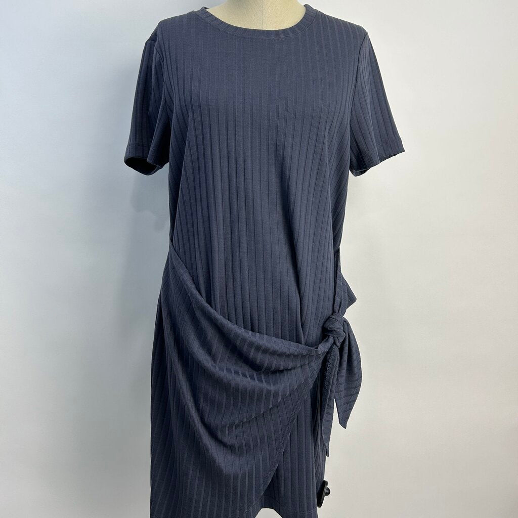 Evereve s/s Dress