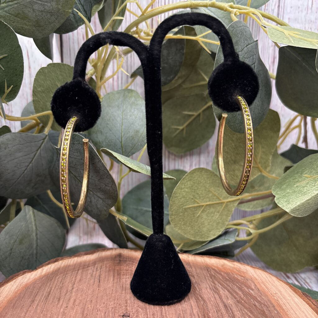 Heidi Daus Hoop Earrings