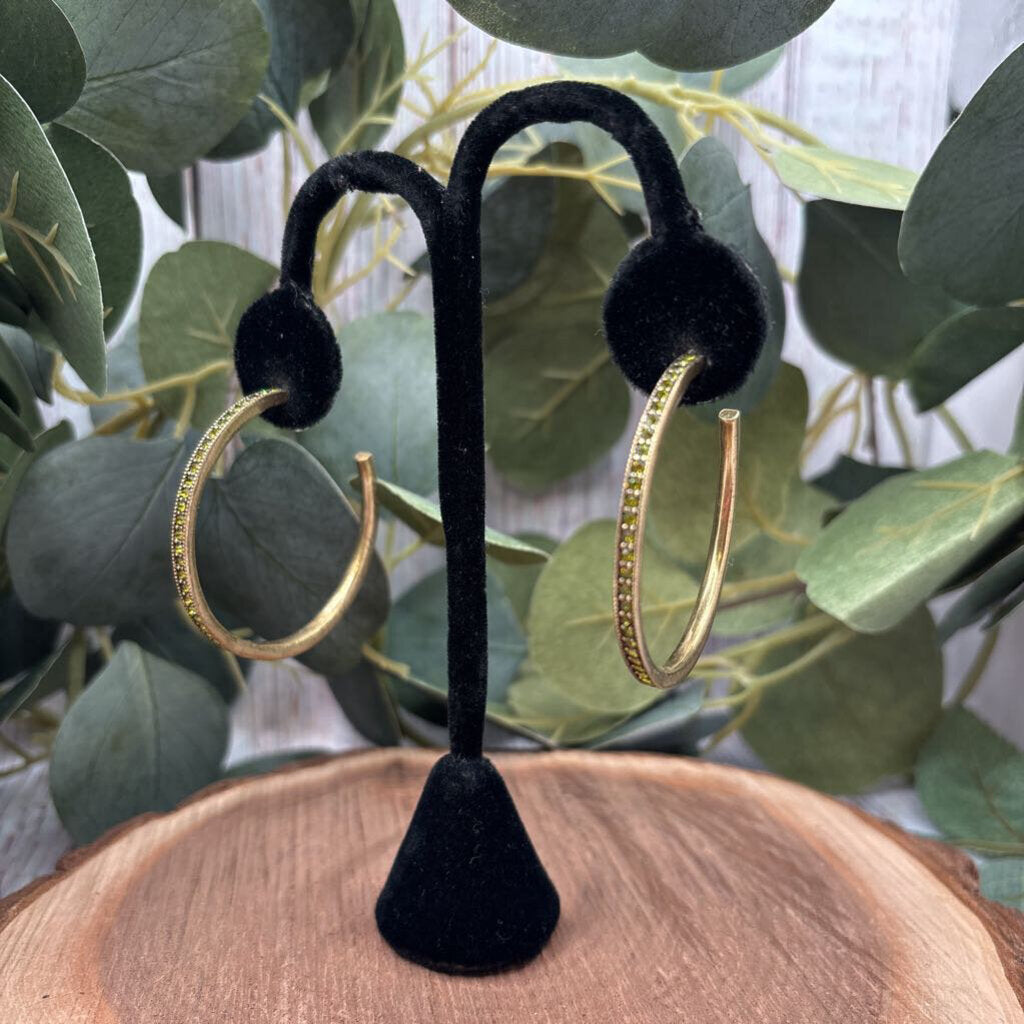 Heidi Daus Hoop Earrings