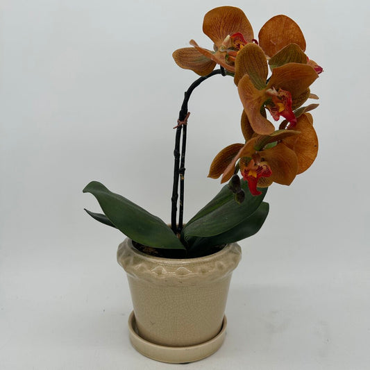 Faux Orchid in Pot