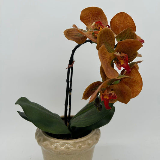 Faux Orchid in Pot