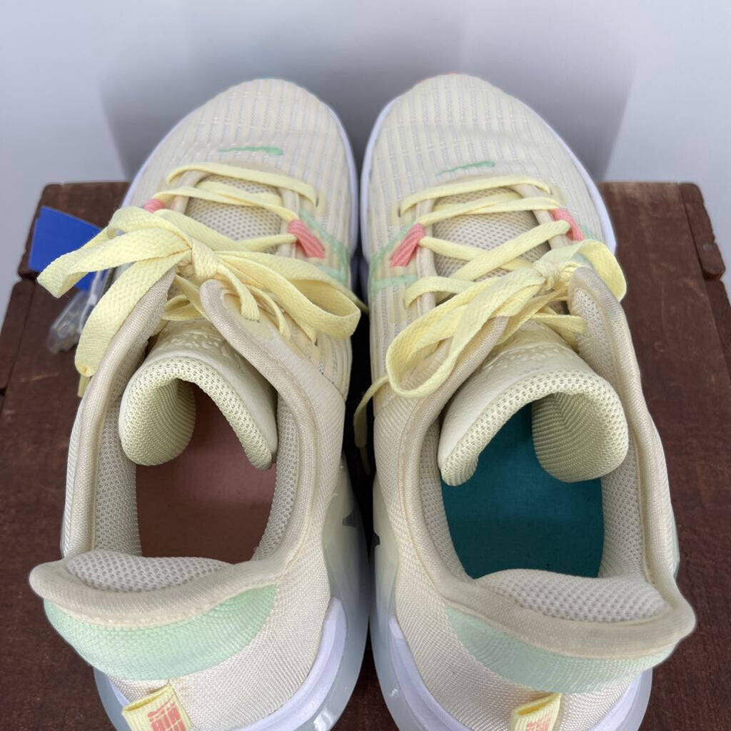 Nike Lebron Sneakers