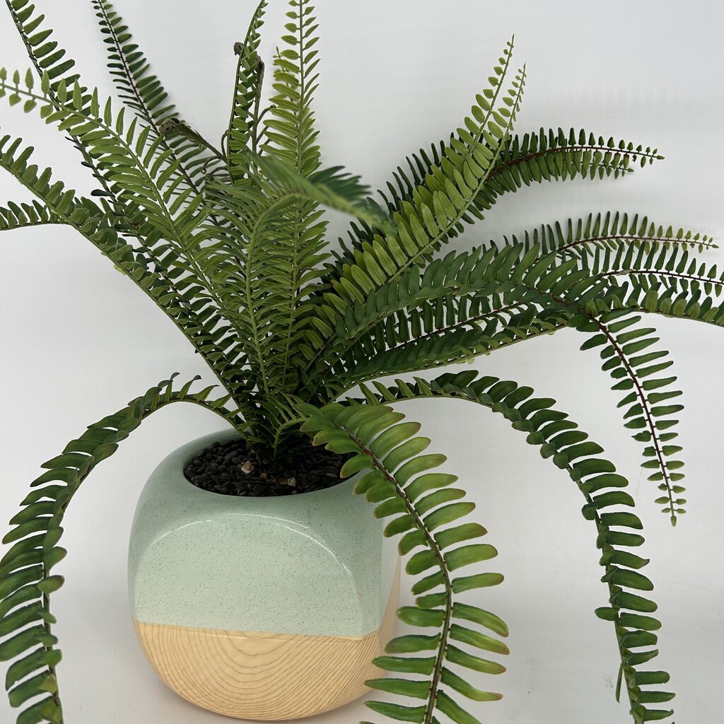 Faux Plant in Two-Tone Planter