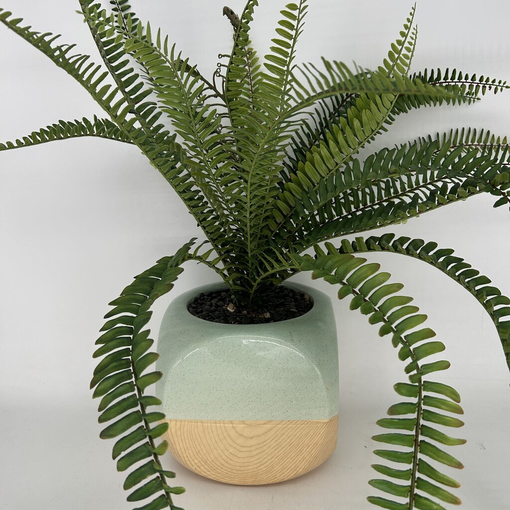 Faux Plant in Two-Tone Planter