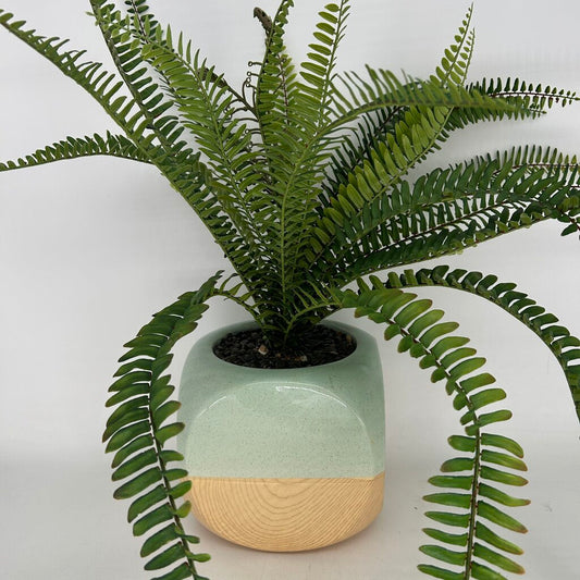 Faux Plant in Two-Tone Planter