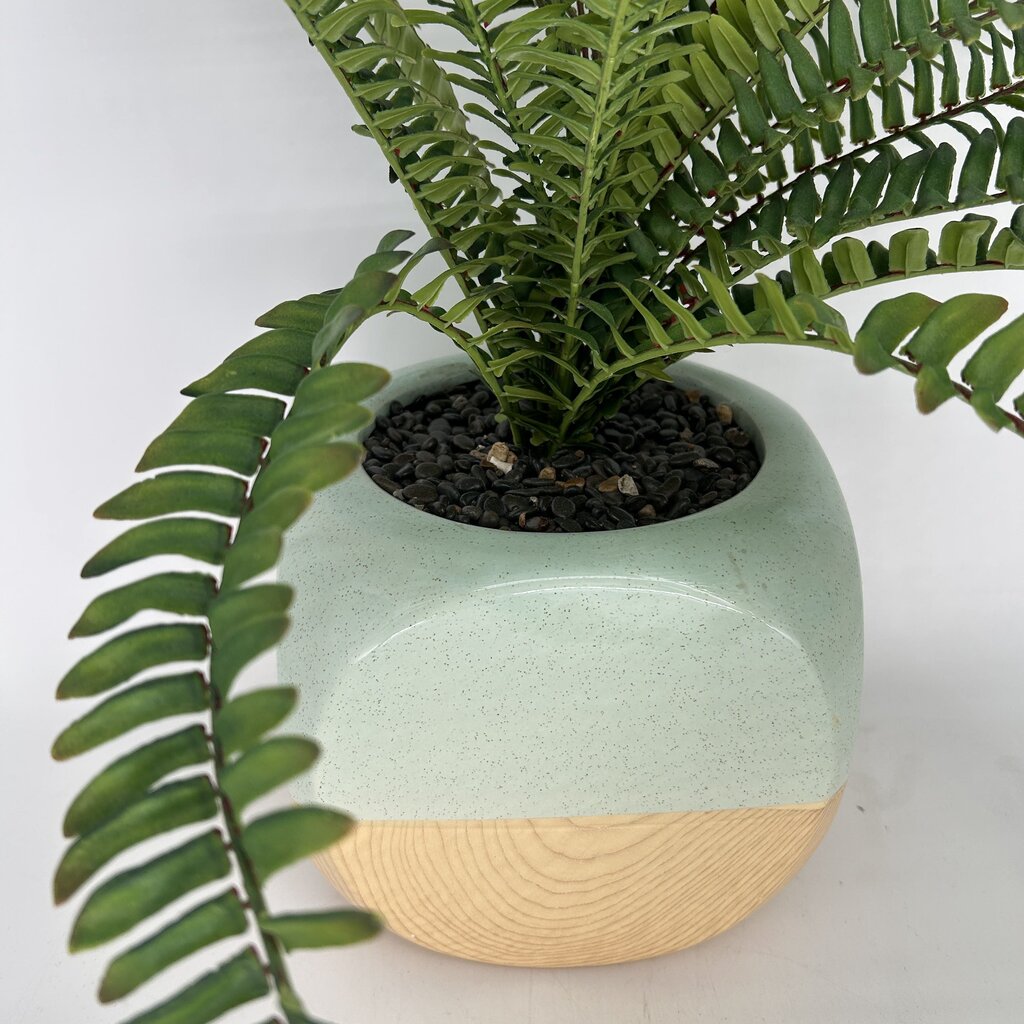 Faux Plant in Two-Tone Planter