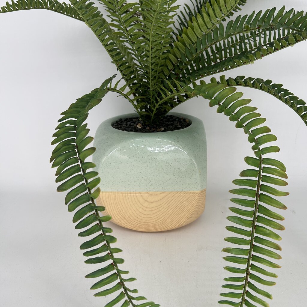 Faux Plant in Two-Tone Planter