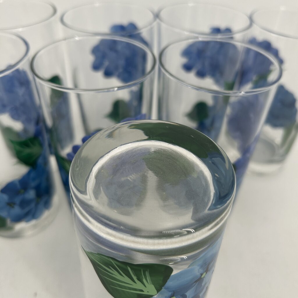 Hydragenas Painted Glassware
