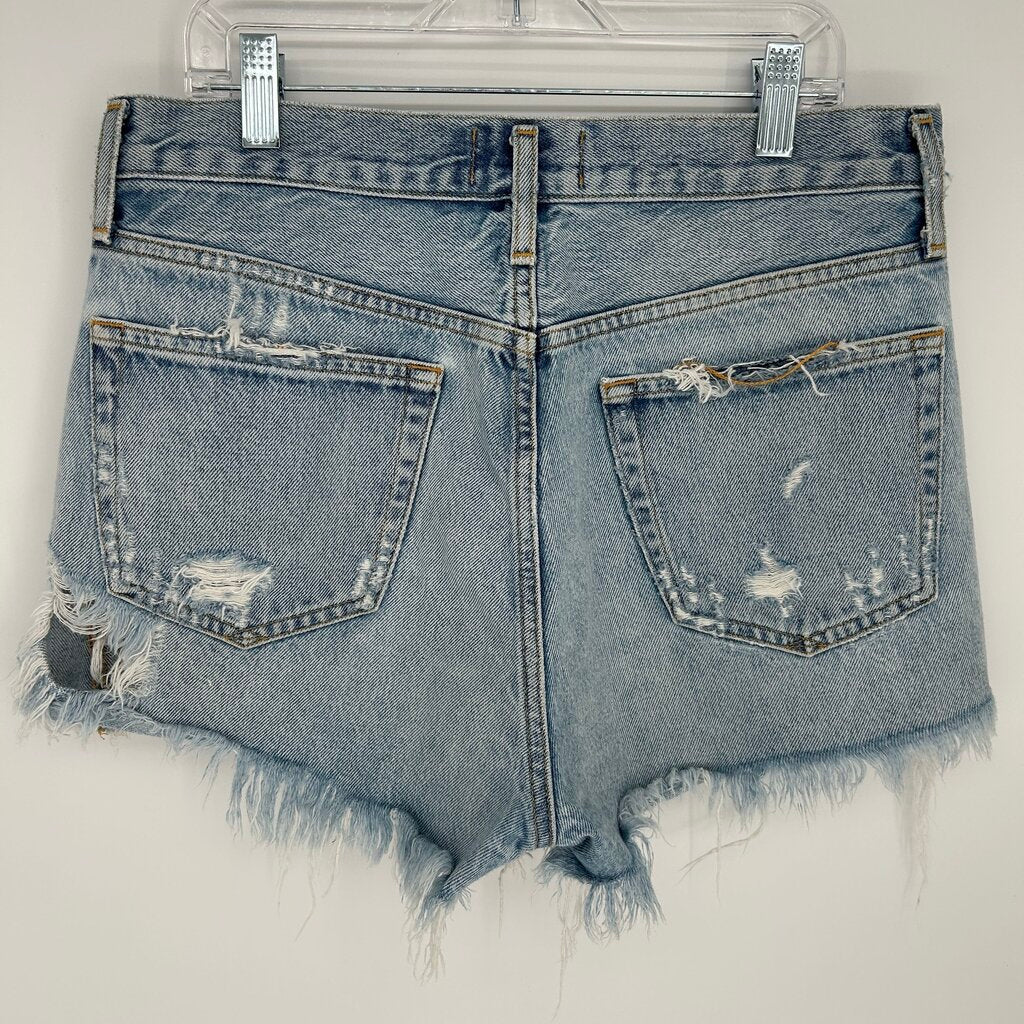 Agolde Button Fly Shorts
