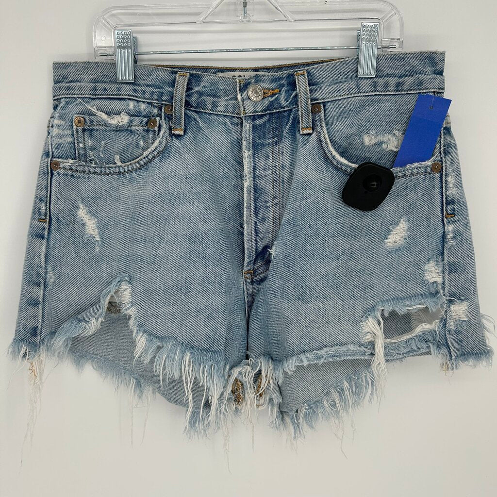 Agolde Button Fly Shorts